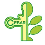 Cebar